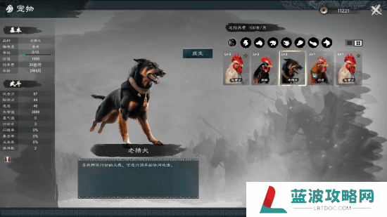 本站