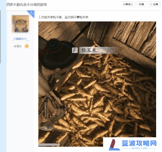 本站