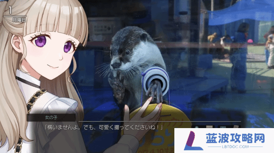 本站