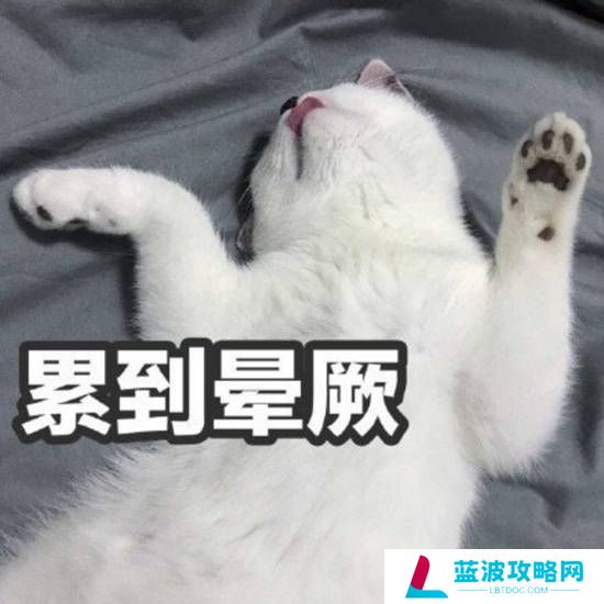 本站