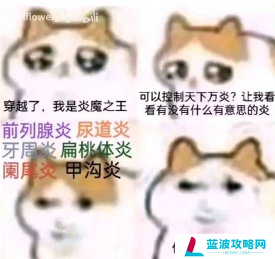 本站