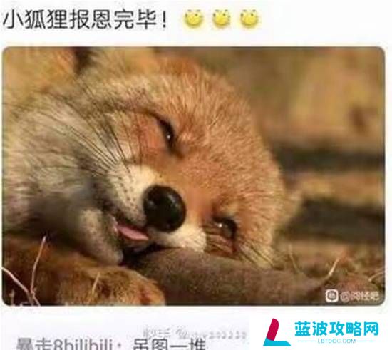 本站