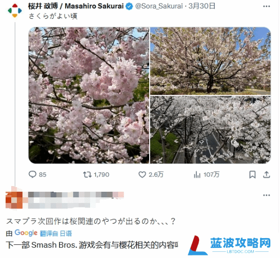 本站