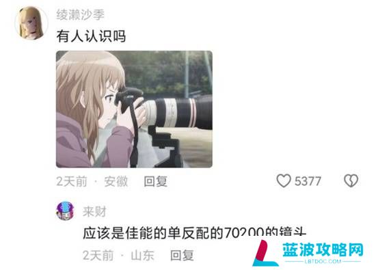 本站