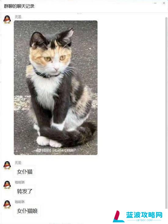 本站