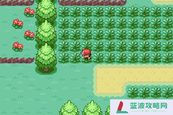 本站