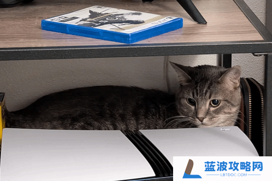 本站