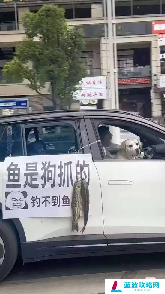 本站