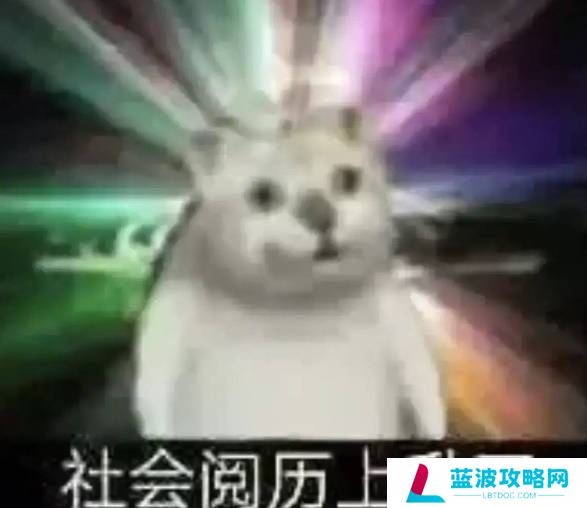 本站