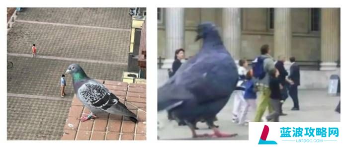 本站